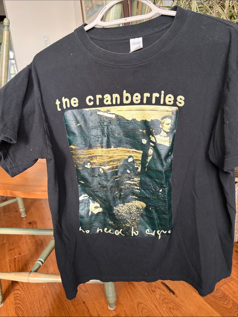 100% cotton Black Cranberries Graphic Tee